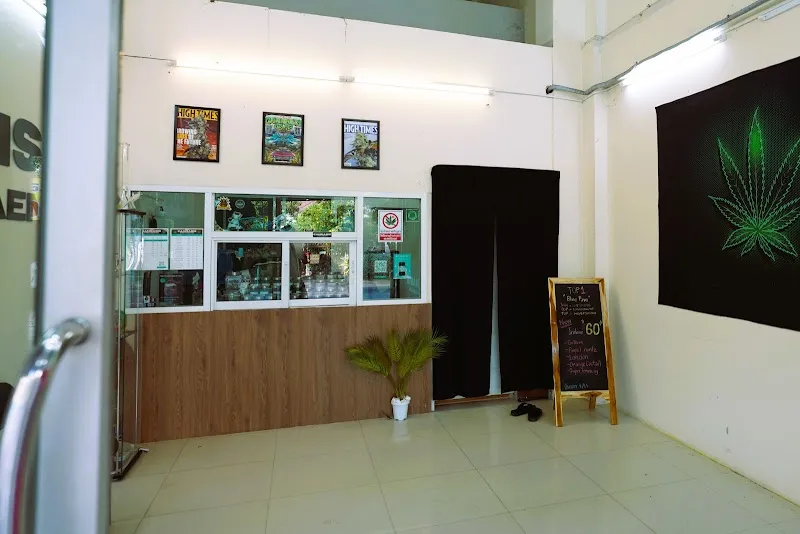Cannabis Store Khonkaen