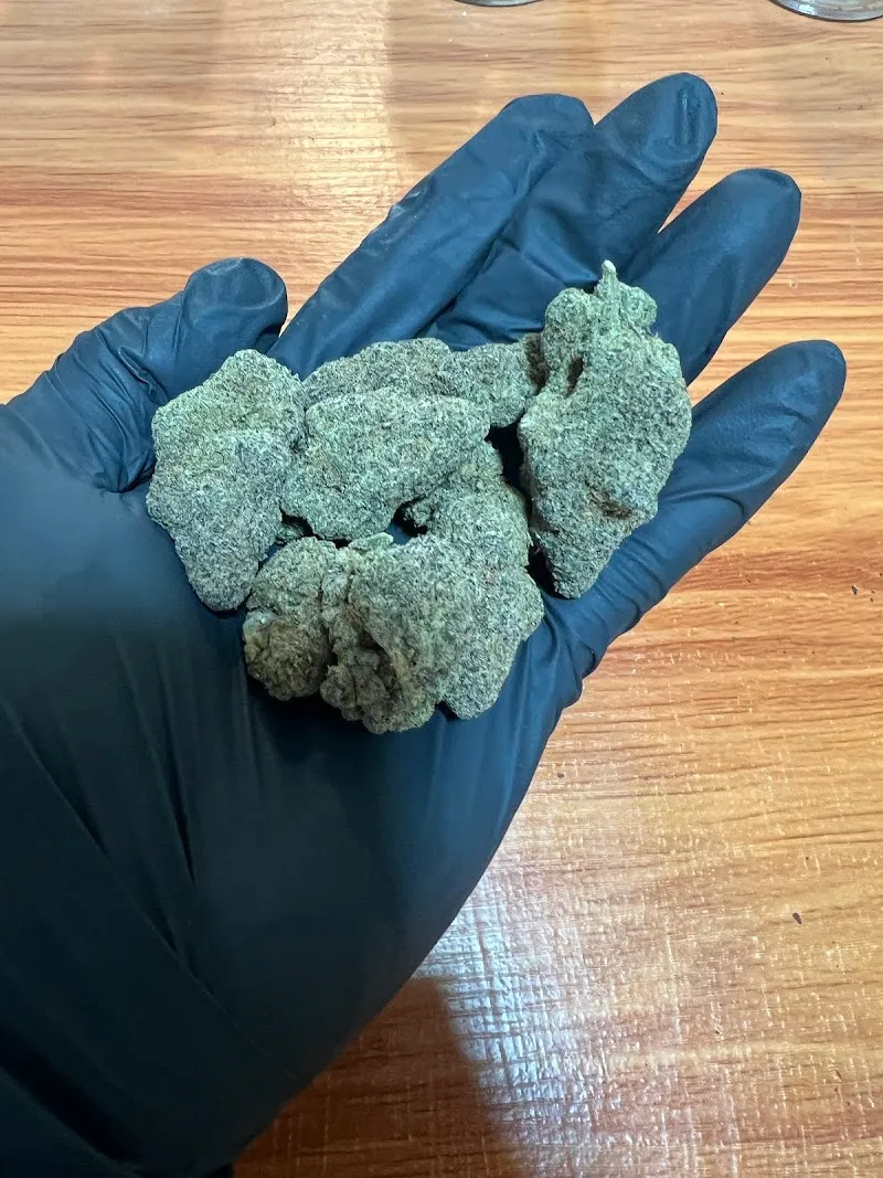 Cloud 420 – Medical Cannabis Clinic Koh Lanta
