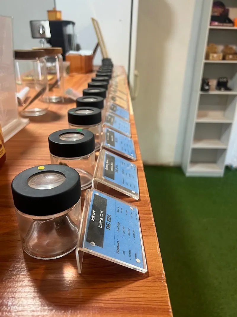 Cloud 420 – Medical Cannabis Clinic Koh Lanta