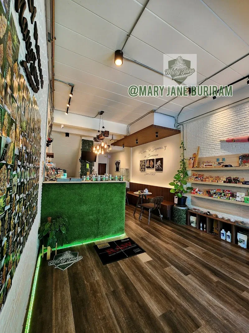 Mary Jane Buriram 1st Medical Cannabis Dispensary & Lounge in Buriram กัญชา Ganja