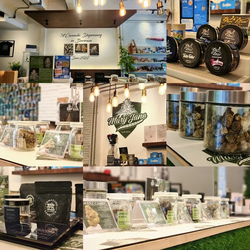 Mary Jane Buriram 1st Medical Cannabis Dispensary & Lounge in Buriram กัญชา Ganja