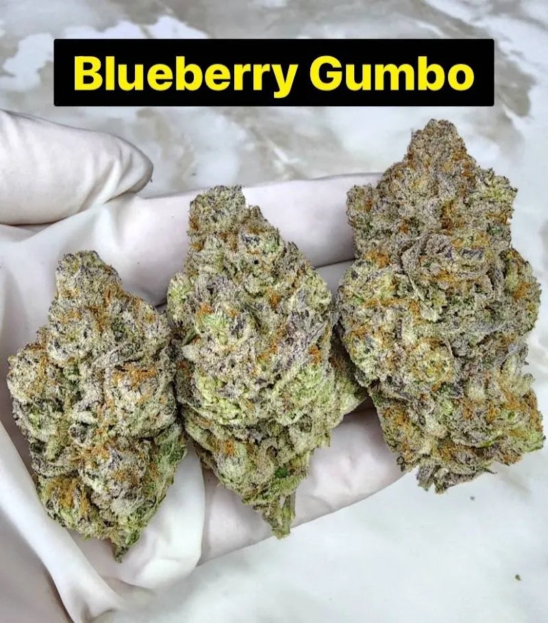 Phitsanulok Cannabis Clinic