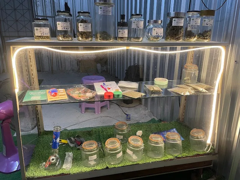 ร้านกัญชาใกล้ฉัน (กุดกว้าง)