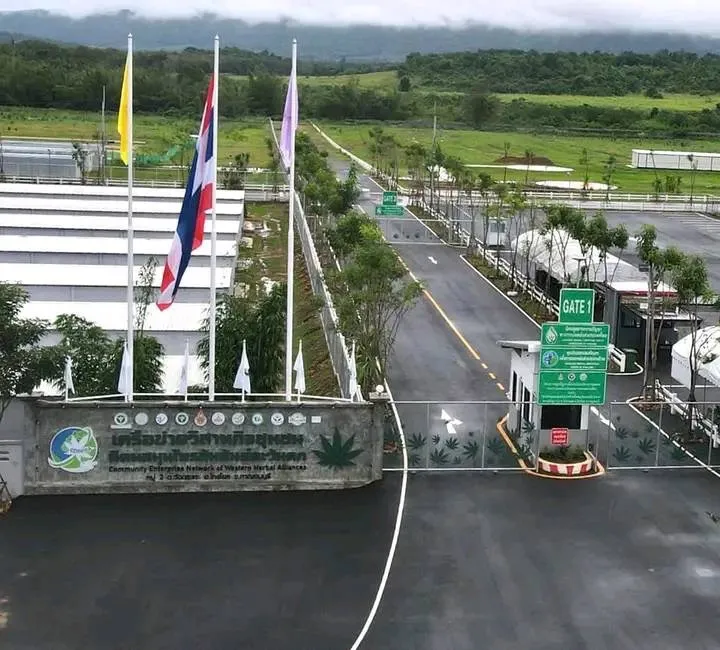 นิคมอุตสาหกรรมกัญชาทางการแพทย์แห่งประเทศไทย