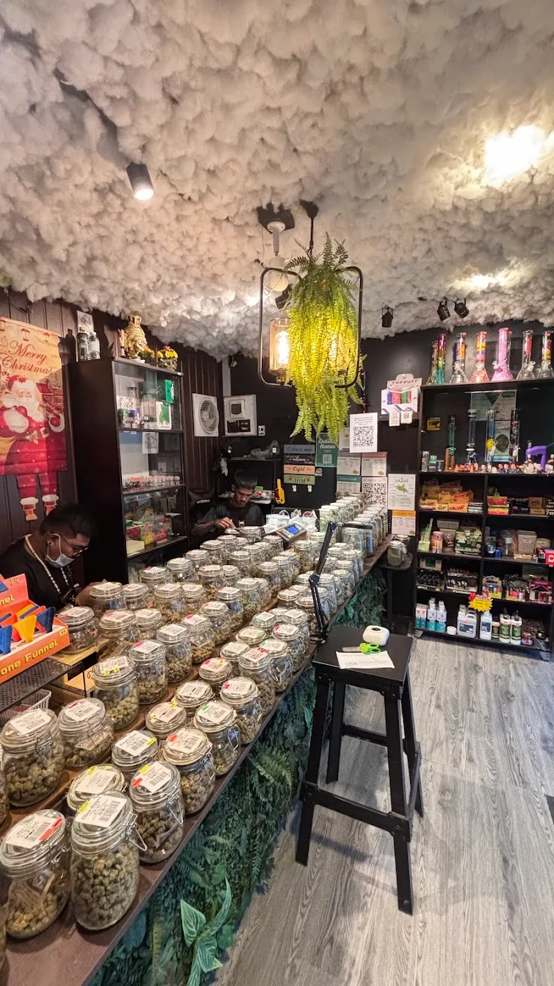 กัญชาจันทบุรี ตามหากัญจันทบุรี สาขา1 มี5 สาขา