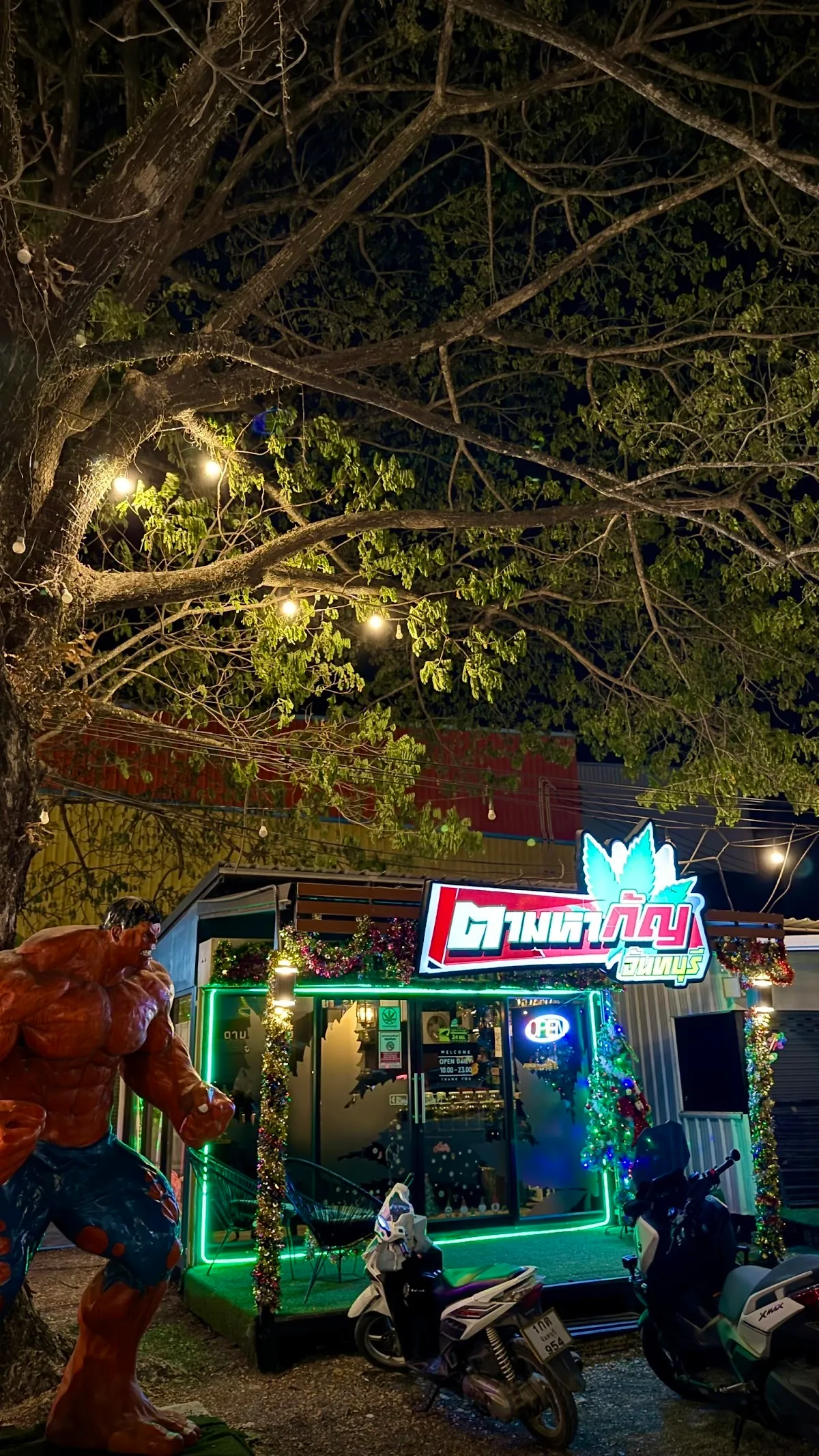 กัญชาจันทบุรี ตามหากัญจันทบุรี สาขา1 มี5 สาขา