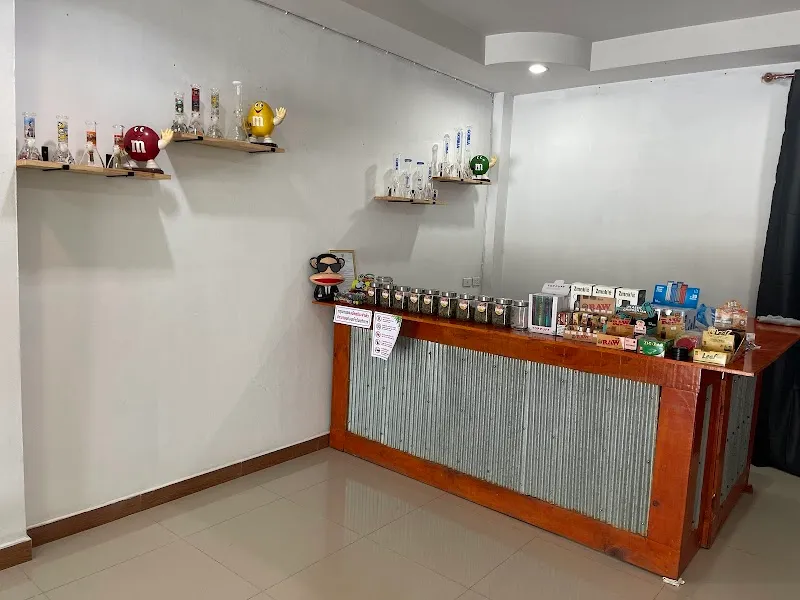 ร้านกัญชาอยุธยา 100K cannabis shop ayutthaya ปลีก-ส่ง