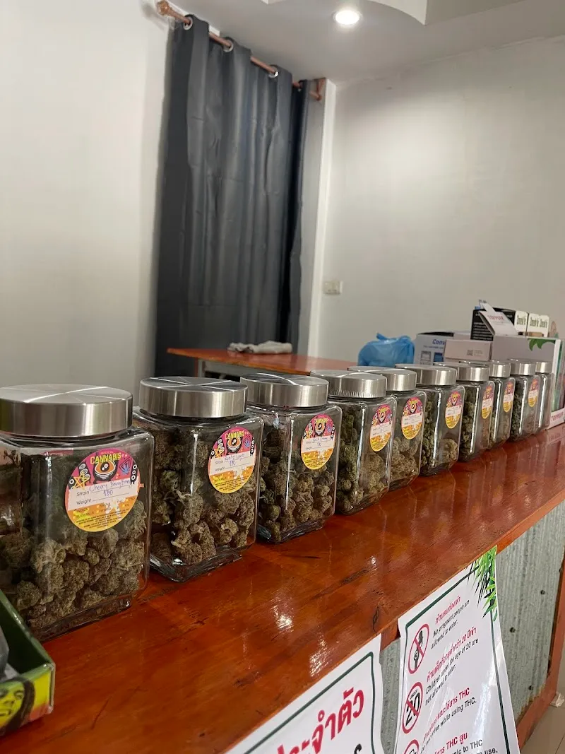 ร้านกัญชาอยุธยา 100K cannabis shop ayutthaya ปลีก-ส่ง