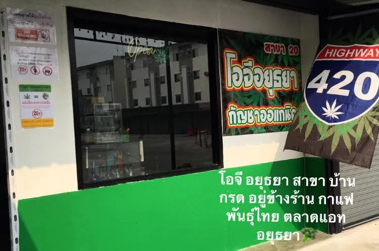 โอจี อยุธยา กัญชาออร์แกนิค สาขา20-ซอยวัดสุทธิ(บ้านกรด)