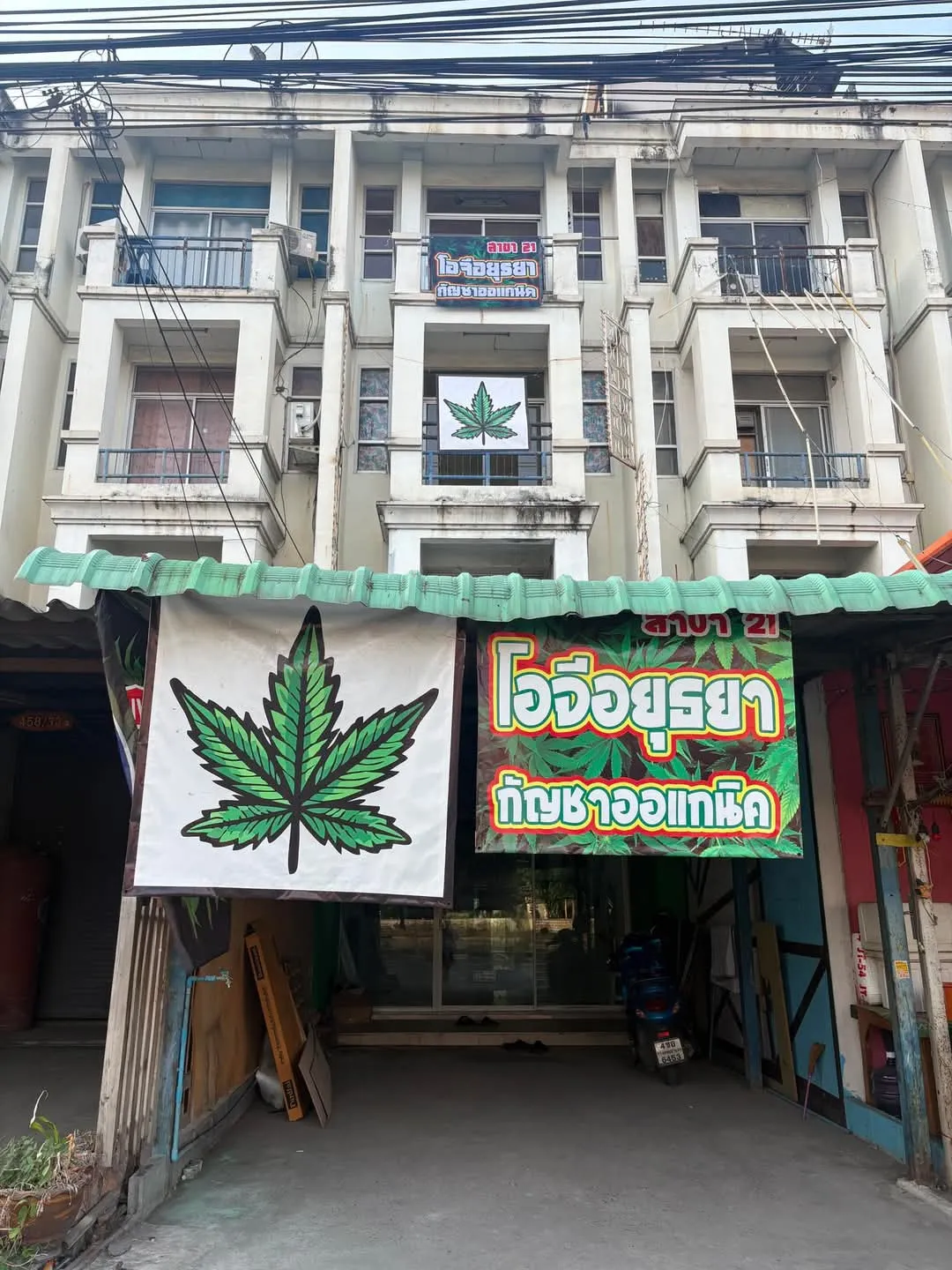 โอจี อยุธยา กัญชาออร์แกนิค สาขา21-แยกอุทัย