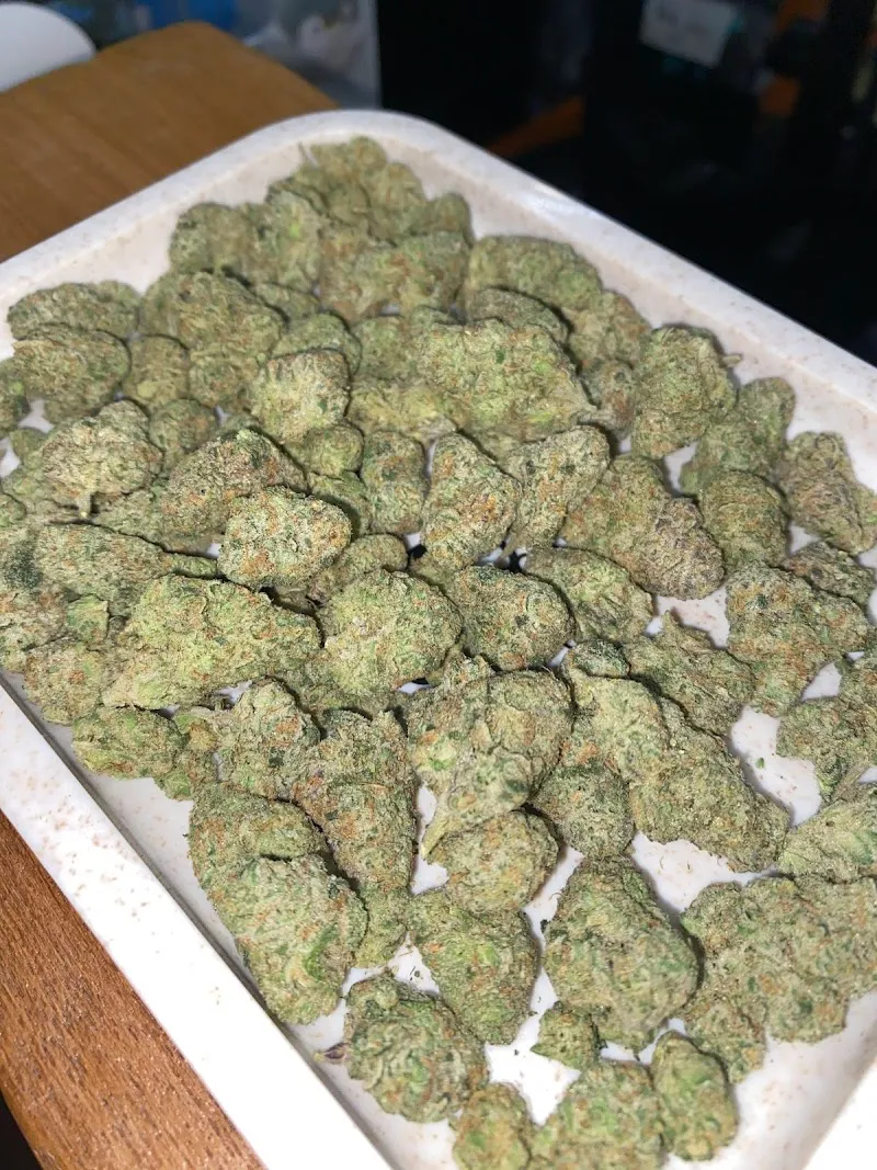 24/7 weed shop กัญชาจันทบุรี chanthaburi cannabis สาขาท่าใหม่