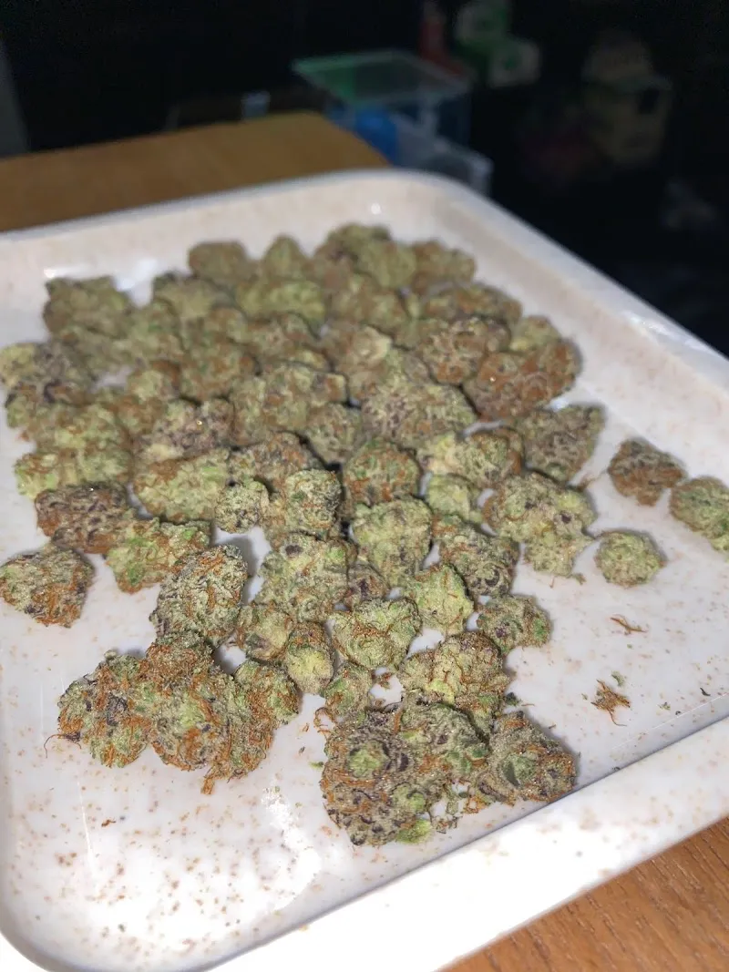 24/7 weed shop กัญชาจันทบุรี chanthaburi cannabis สาขาท่าใหม่