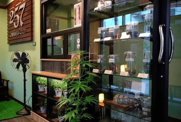 257 Cannabis Club