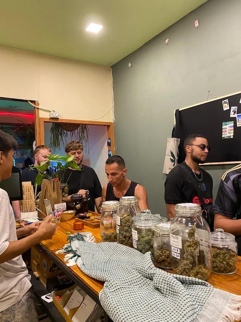 2Morrow Fresh Weed PAI Store (Cannabis Shop)