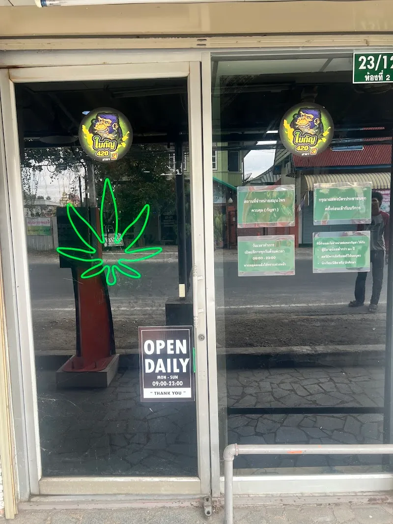 ใบกัญ 420 สาขา3