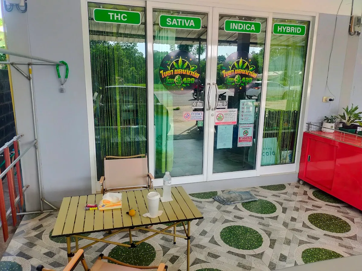 ร้านใบชา แคนนาบิส โฮก 420
