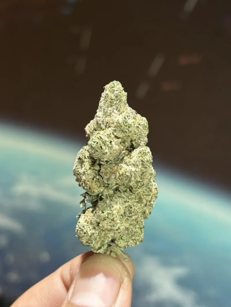 เติมกัญ 420 cannabis @หนองแสง