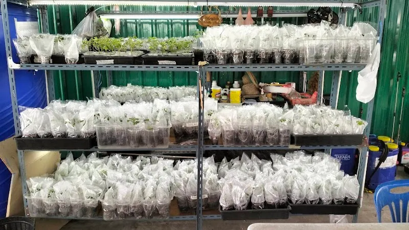 บริษัท ริชเฮมพ์คอร์ป จำกัด (ริชฮับ420)