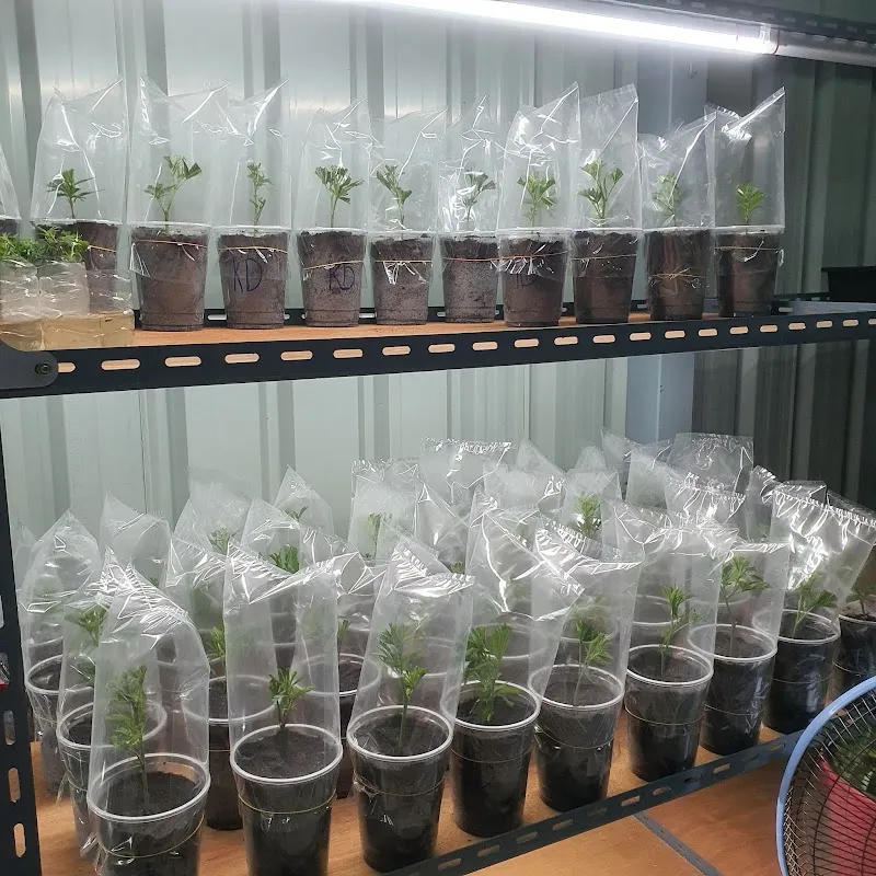 บริษัท ริชเฮมพ์คอร์ป จำกัด (ริชฮับ420)