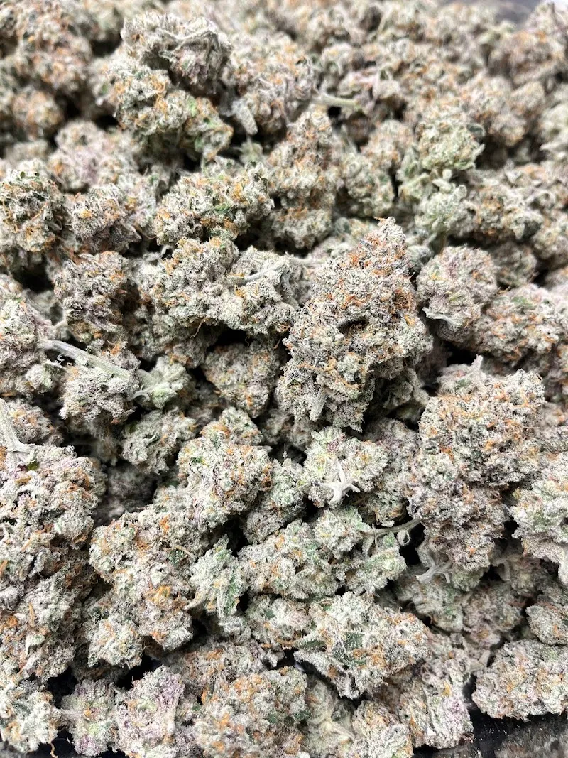 ลึกลับ กะเพราปราบเซียน (ตาม่วน 420)