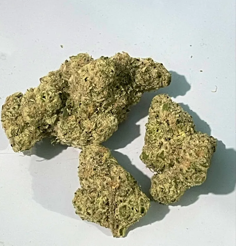 กัญชาฟินแลนด์420 สาขากระทิง