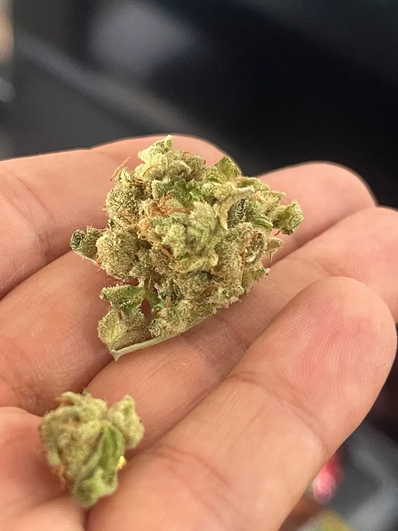 บังเนื้อหอม 420