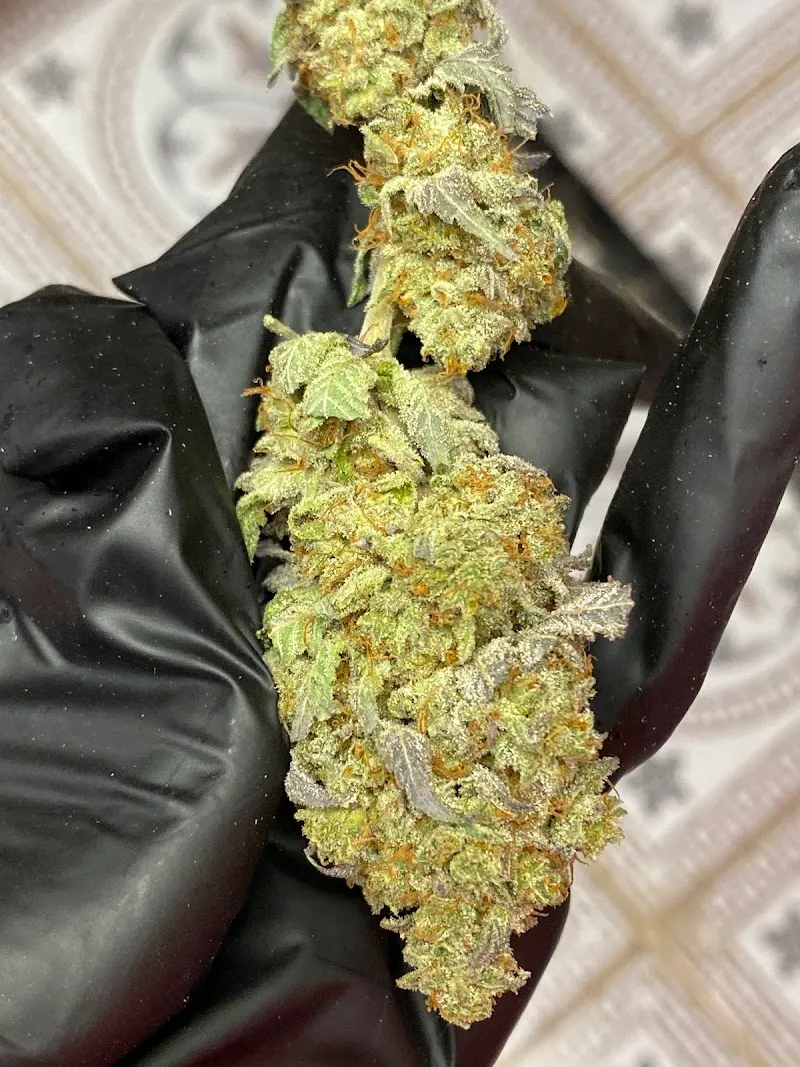 ร้านหนมต้มแคนนาบิสช็อปจันทบุรี420 Nomtom cannabis shop 420