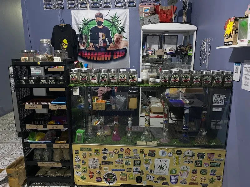 ร้านหนมต้มแคนนาบิสช็อปจันทบุรี420 Nomtom cannabis shop 420