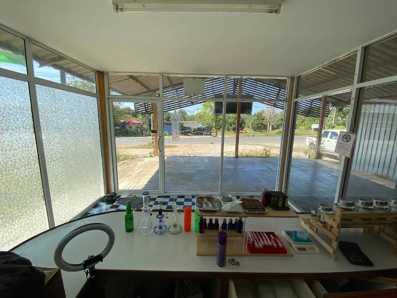 เดอะควีน 420