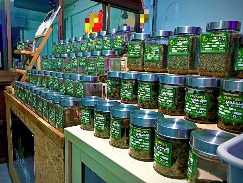 ทศกัญ420 จำหน่ายกัญชา ปลีก-ส่ง