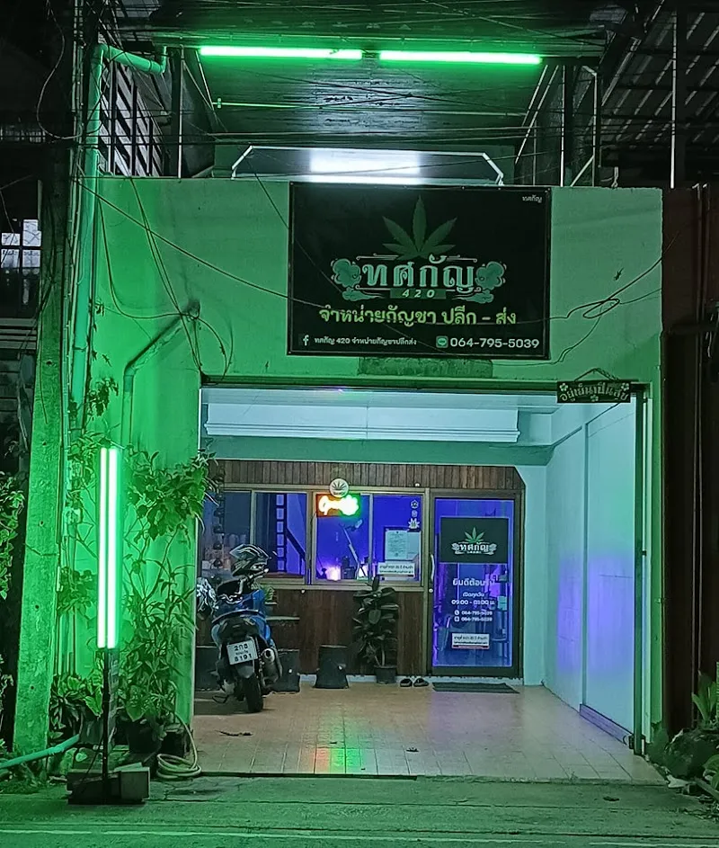 ทศกัญ420 จำหน่ายกัญชา ปลีก-ส่ง