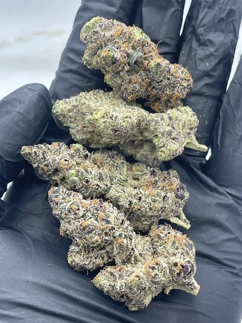 เติม420 TERM420