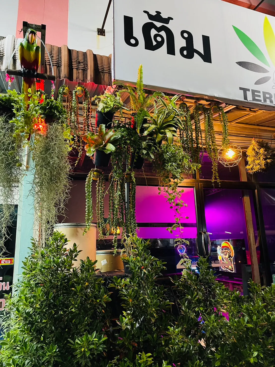 เติม420 TERM420