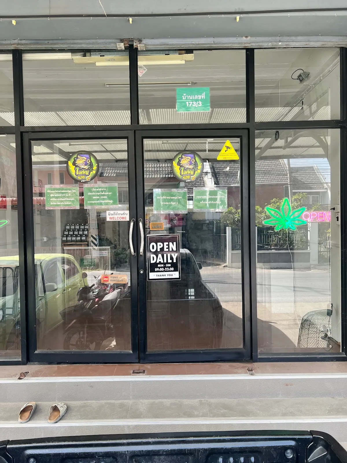 ใบกัญ420 สาขาเสนา