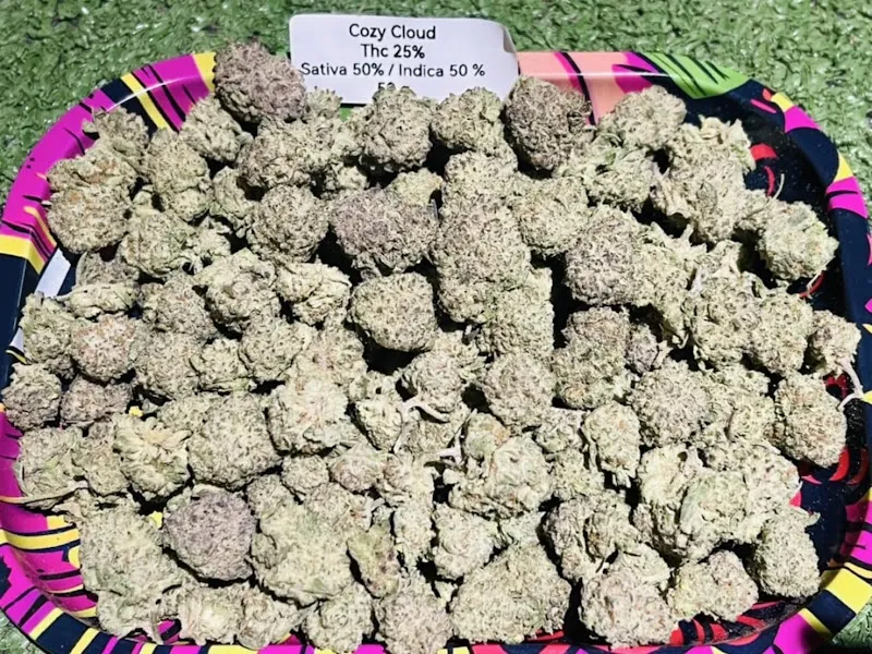 เติมกัญ420cannabisสามพร้าว