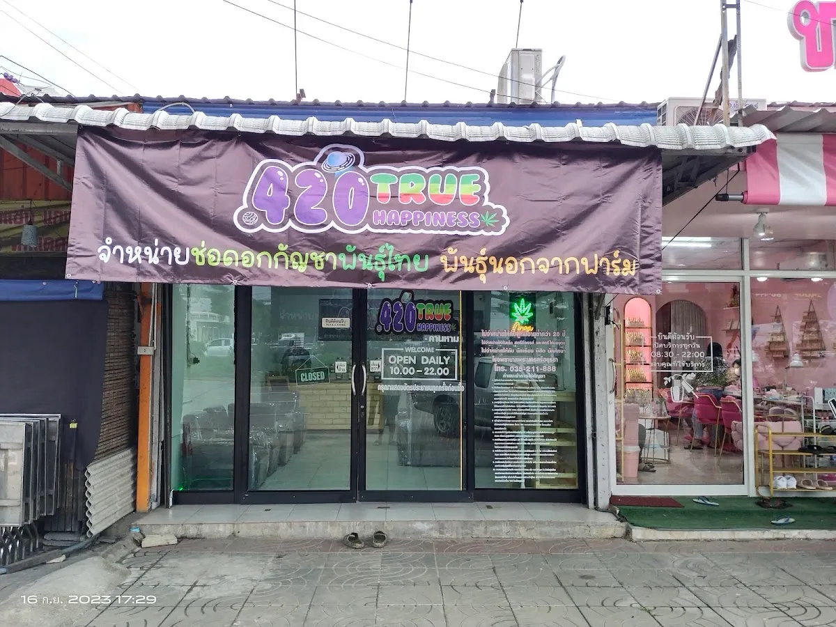 420Truehappiness - คานหาม