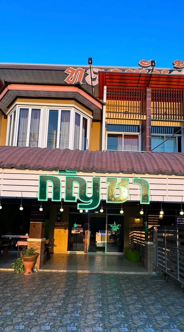 กัญชา4JCannabis@Suratthani