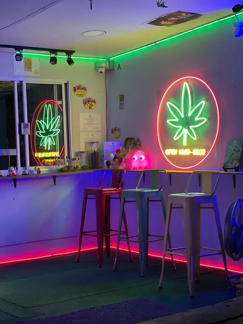 AA cannabis