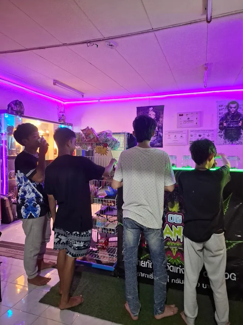 Alan420 (สาขา4)เปิด24ชม.