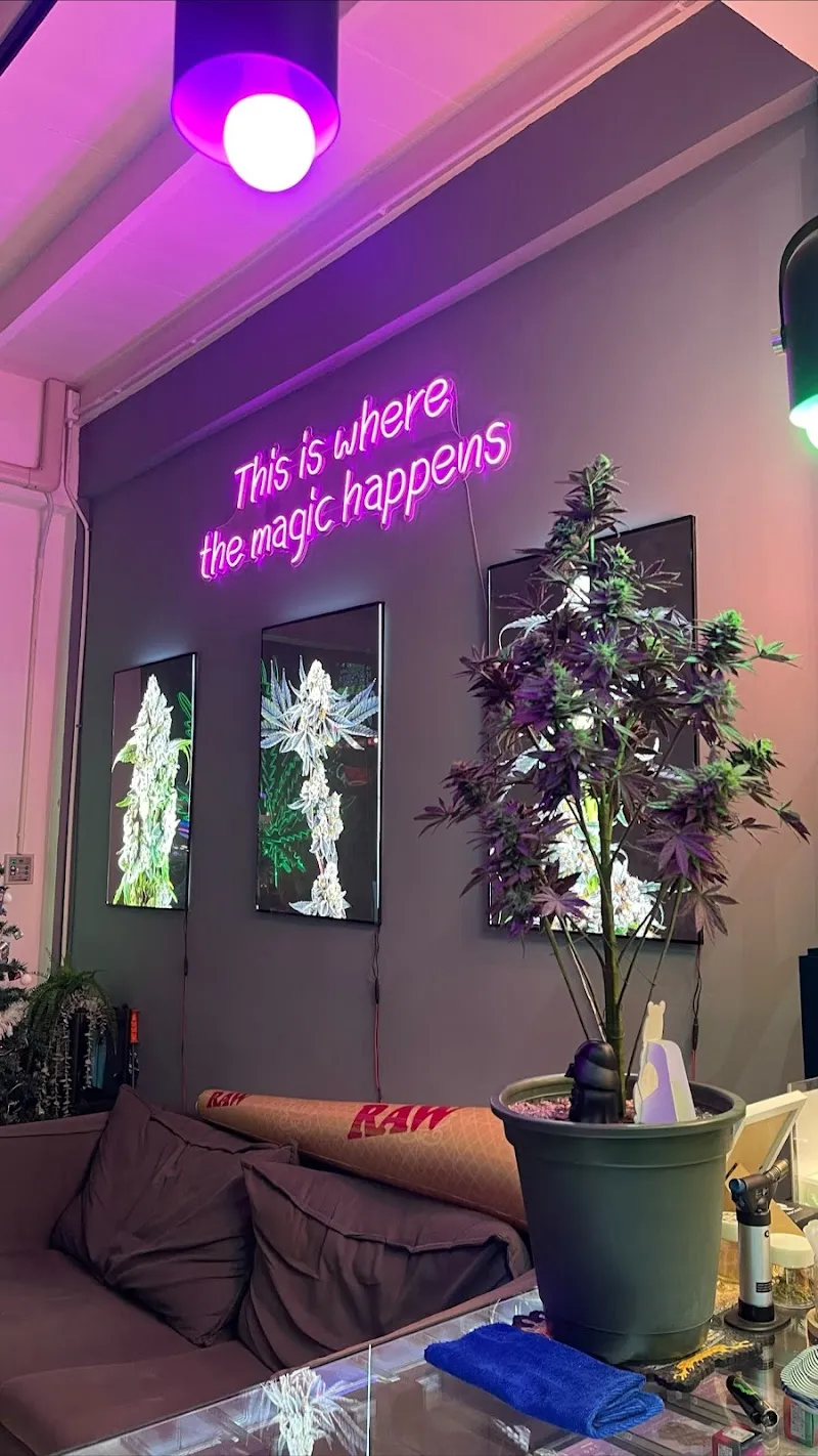 Apich Weed Well อภิฌ วี้ดวิ้ว