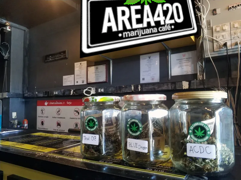 AREA420 (EDC LAB)