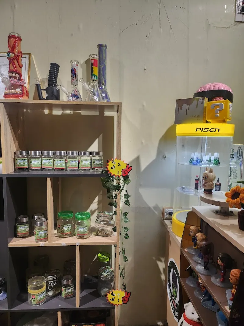 AUNG COBAR ( ร้านกัญชาอยุธยา Smokeweed cannabis Marijuana shop)