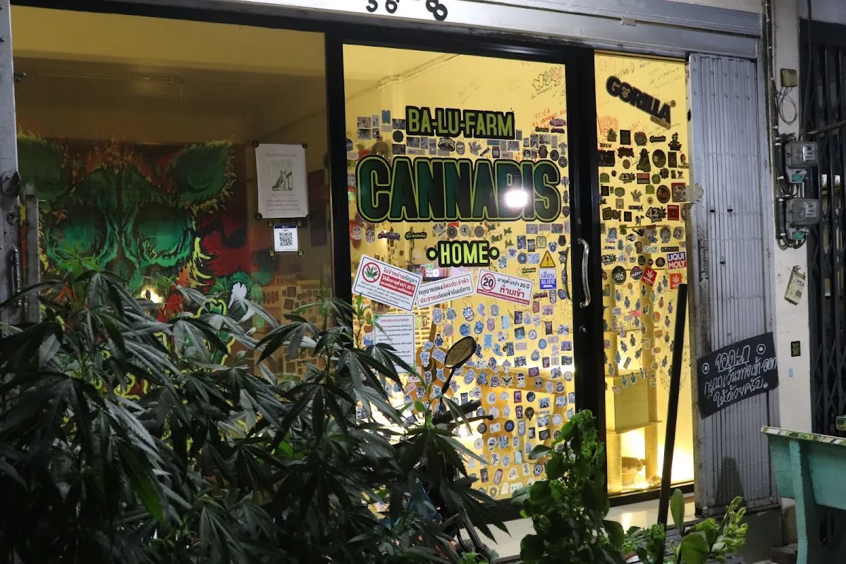 Ba-Lu Home Cannabis Shop