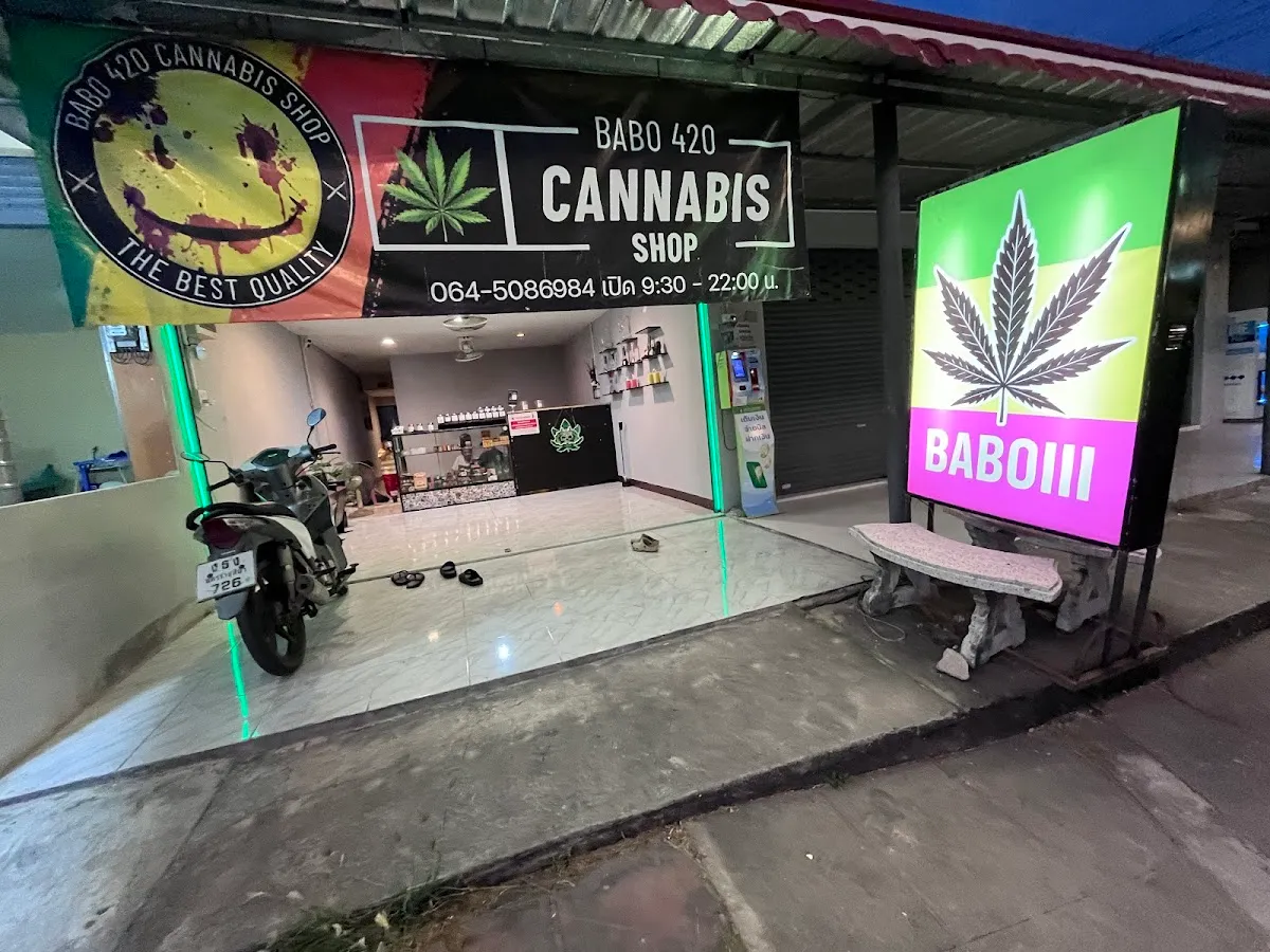 Babo cannabis 420 III สาขาหนองบัว