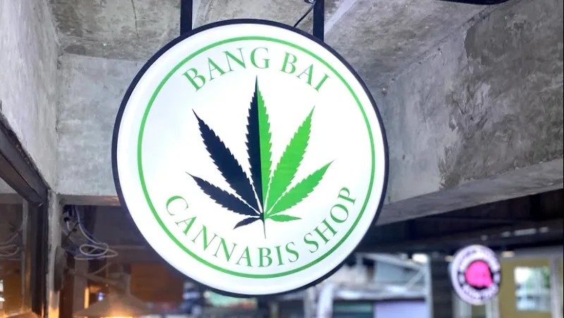 Bangbai cannabis
