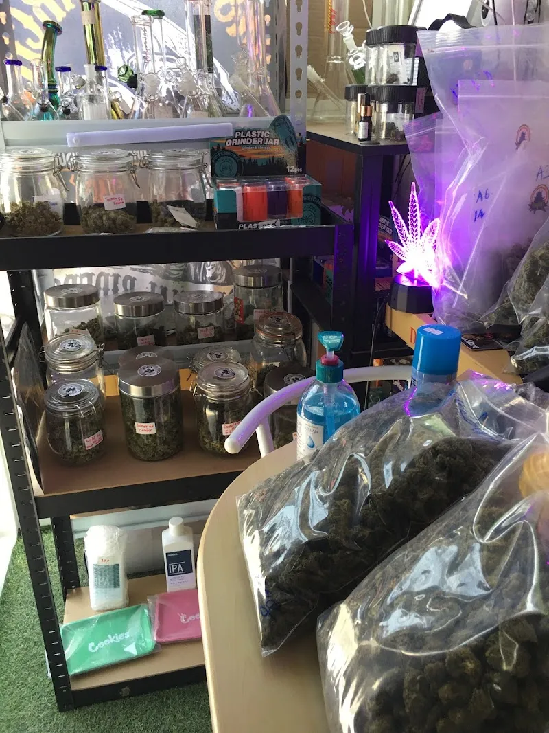 Beet House บีทเฮาส์ Cannabis Shop ร้านกัญชาไกล้ฉัน
