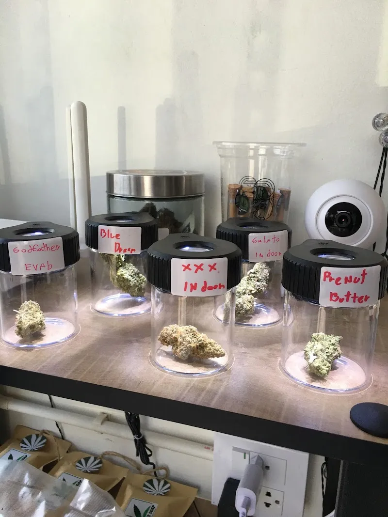 Beet House บีทเฮาส์ Cannabis Shop ร้านกัญชาไกล้ฉัน