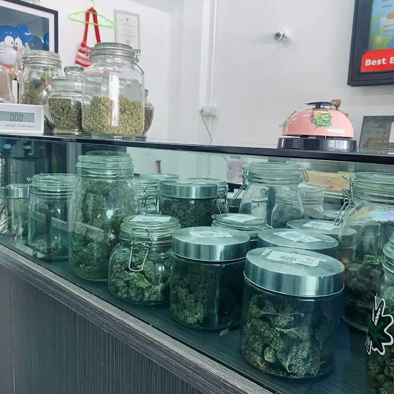 ร้านกัญชาขอนแก่น BestBudz.th