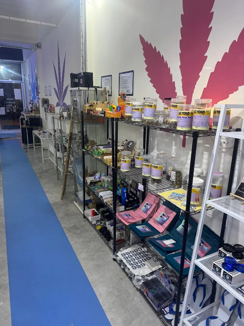 BEYOND CANNABIS - SAIREE