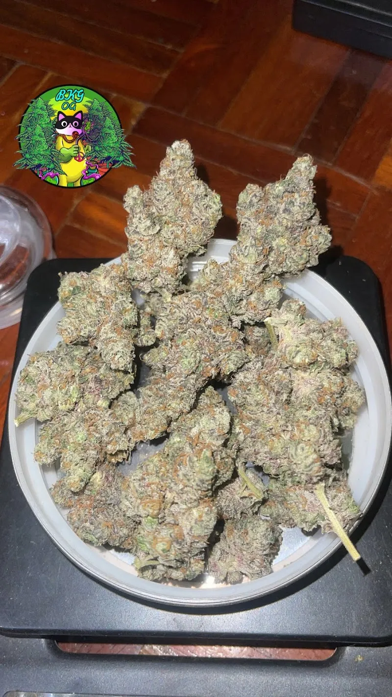BKG Cannabis 420